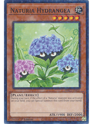 Naturia Hydrangea - HAC1-EN107 - Duel Terminal Common Parallel