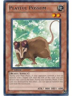 Playful Possum - DREV-EN007 - Rare
