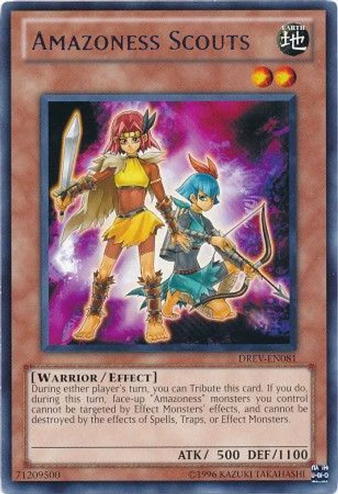 Amazoness Scouts - DREV-EN081 - Rare 