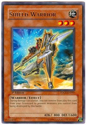 Shield Warrior - TDGS-EN005 - Rare 1