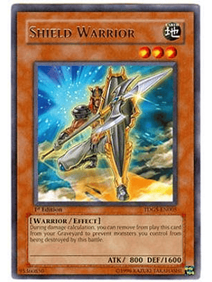 Shield Warrior - TDGS-EN005 - Rare