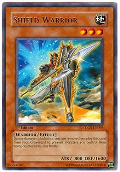 Shield Warrior - TDGS-EN005 - Rare