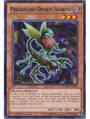 Predaplant Ophrys Scorpio - MACR-EN009 - Rare