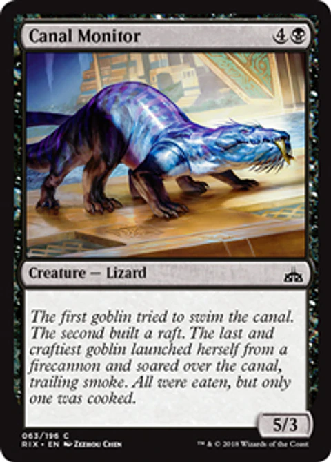Canal Monitor - RIX - C