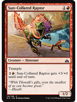 Sun-Collared Raptor - RIX
