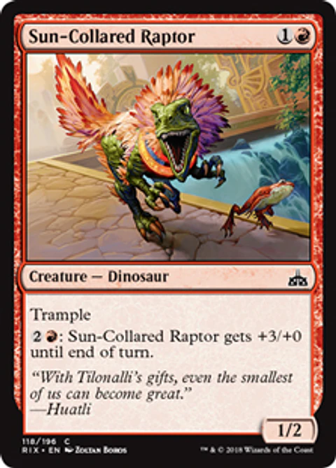 Sun-Collared Raptor - RIX