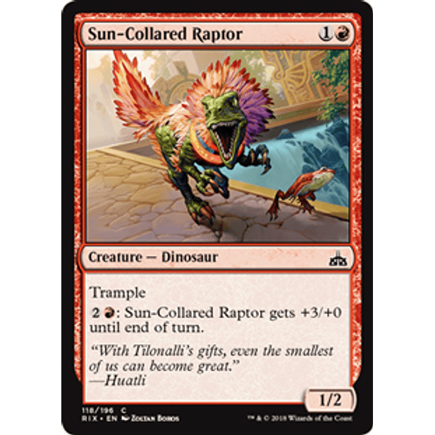 Sun-Collared Raptor - RIX