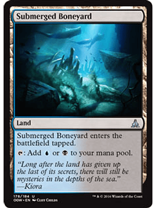 Submerged Boneyard -OGW