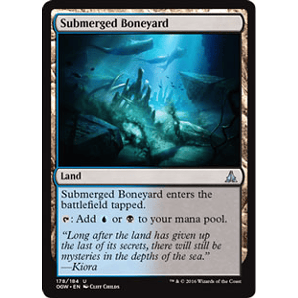 Submerged Boneyard -OGW