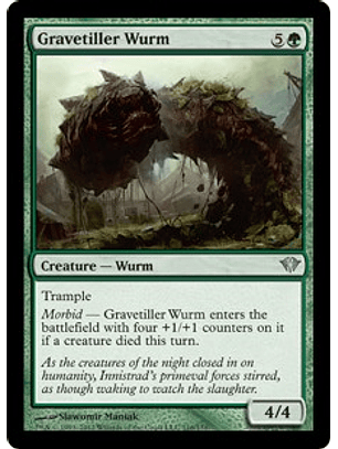 Gravetiller Wurm - DKA
