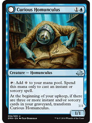 Curious Homunculus | Voracious Reader - EMN