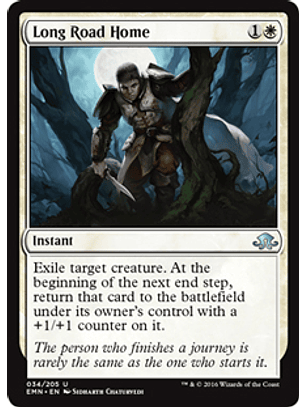 Long Road Home - EMN