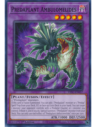 Predaplant Ambulomelides - DIFO-EN037 - Common