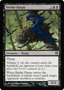 Shrike Harpy - BOG 1
