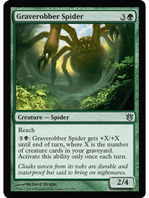 Graverobber Spider - BOG