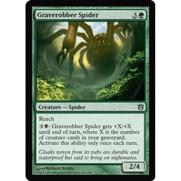 Graverobber Spider - BOG