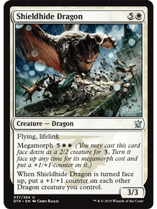Shieldhide Dragon - DTK