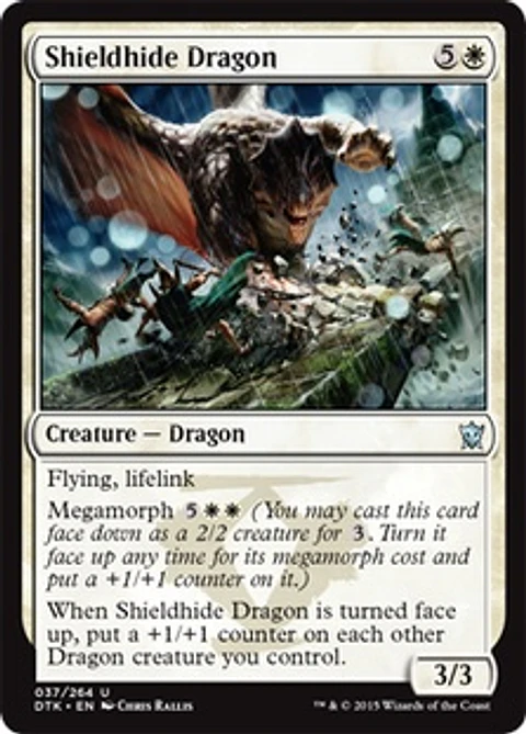 Shieldhide Dragon - DTK