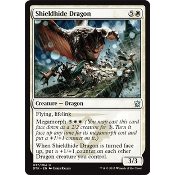 Shieldhide Dragon - DTK