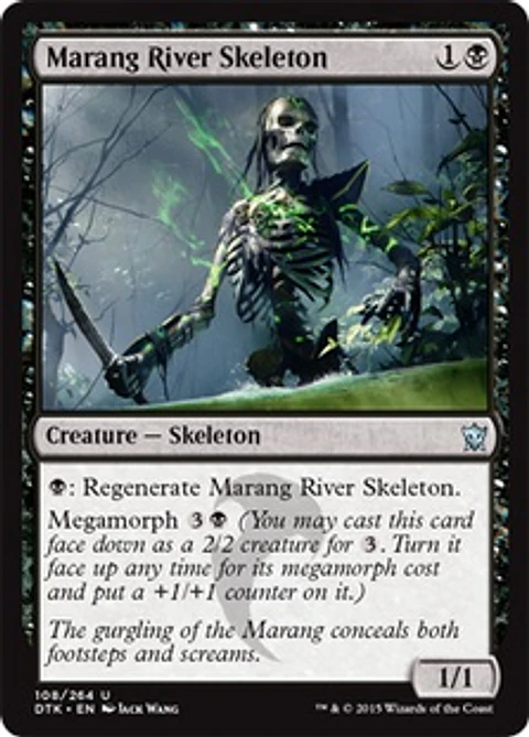 Marang River Skeleton - DTK