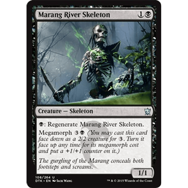 Marang River Skeleton - DTK