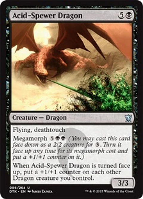 Acid-Spewer Dragon - DTK