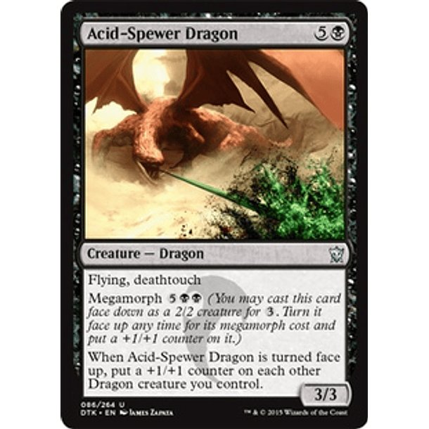 Acid-Spewer Dragon - DTK