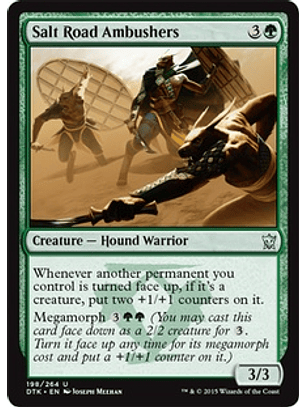 Salt Road Ambushers - DTK