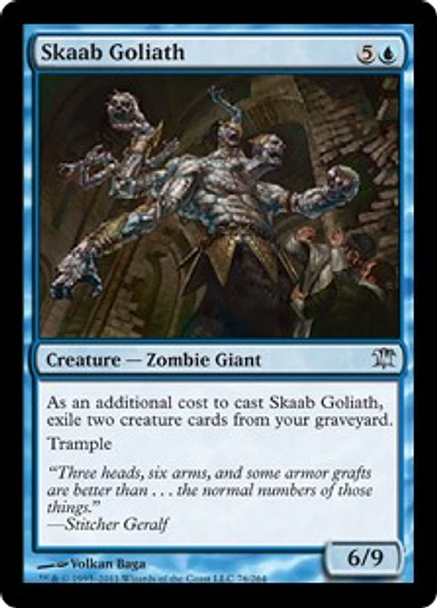 Skaab Goliath - INS