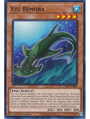 Xyz Remora - LED9-EN009 - Common