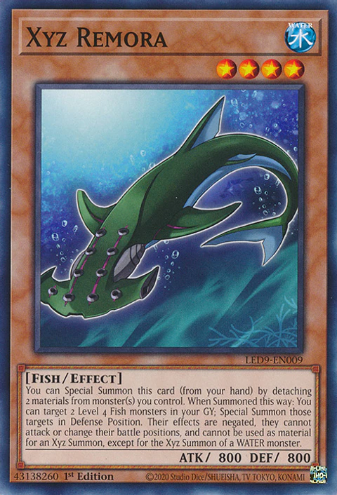 Xyz Remora - LED9-EN009 - Common