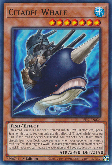 Citadel Whale - LED9-EN026 - Common  1