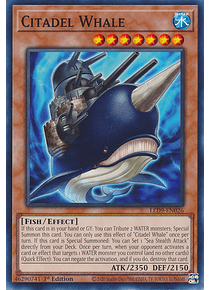 Citadel Whale - LED9-EN026 - Common 