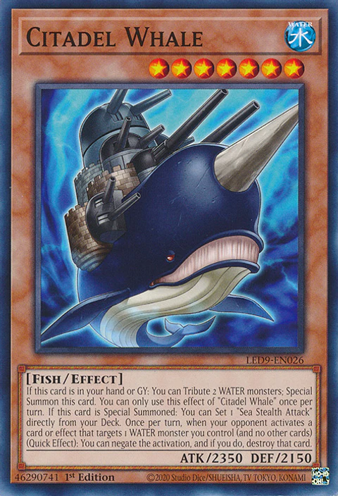Citadel Whale - LED9-EN026 - Common 