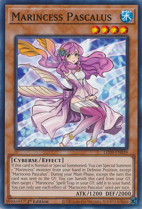 Marincess Pascalus - LED9-EN039 - Common 