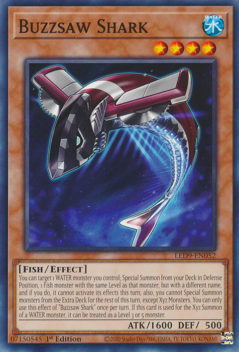 Buzzsaw Shark - LED9-EN052 - Common 