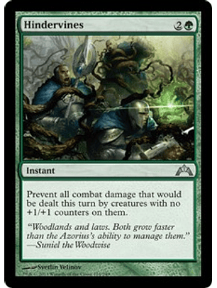 Hindervines - GTC