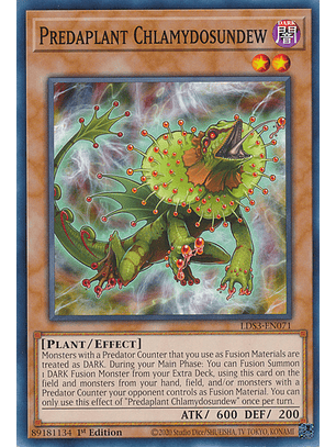 Predaplant Chlamydosundew - LDS3-EN071 - Common 