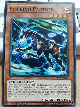 Striping Partner - EXFO-EN003 - Common