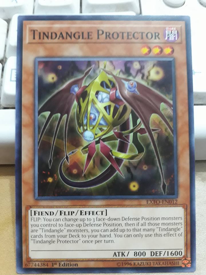 Tindangle Protector - EXFO-EN012 - Common 1