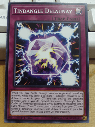 Tindangle Delaunay - EXFO-EN069 - Common