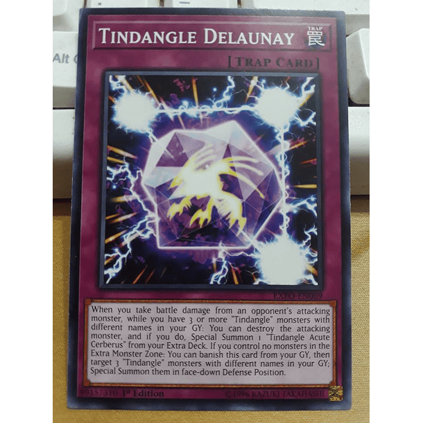 Tindangle Delaunay - EXFO-EN069 - Common