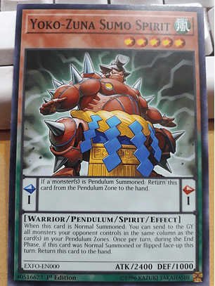 Yoko-Zuna Sumo Spirit - EXFO-EN000 - Common