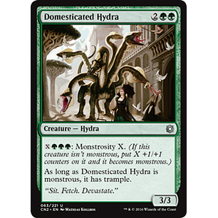 Domesticated Hydra - TTC