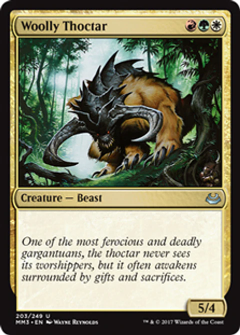 Woolly Thoctar - MM17