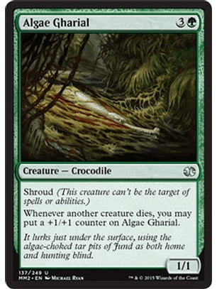 Algae Gharial - MM15