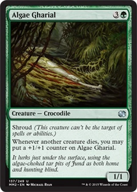 Algae Gharial - MM15