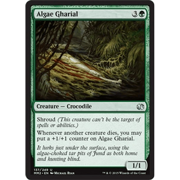 Algae Gharial - MM15