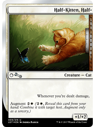 Half-Kitten, Half- - UST