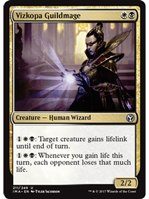 Vizkopa Guildmage - IMA
